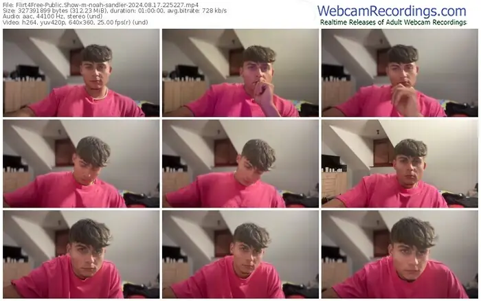 2024/08/17/flirt4free-noah-sandler-22-52-27
