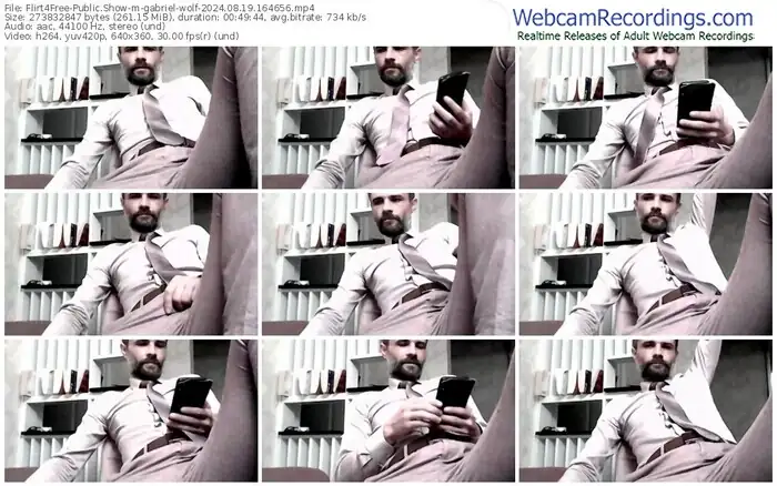 2024/08/19/flirt4free-gabriel-wolf-16-46-56