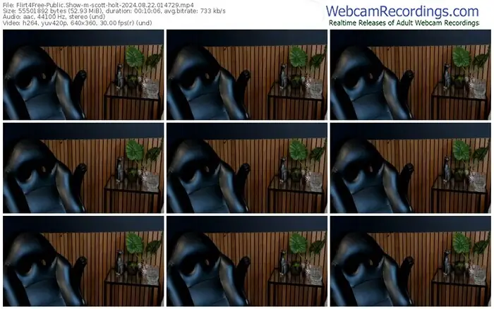 2024/08/22/flirt4free-scott-holt-01-47-29