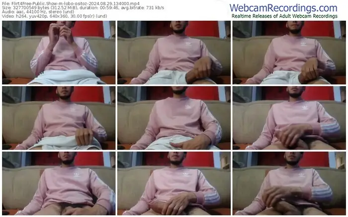 2024/08/29/flirt4free-lobo-ositoz-13-40-00