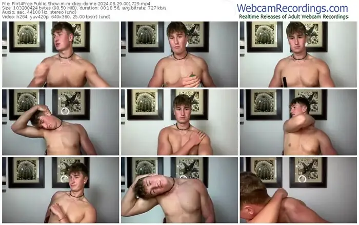 2024/08/29/flirt4free-mickey-donne-00-17-29