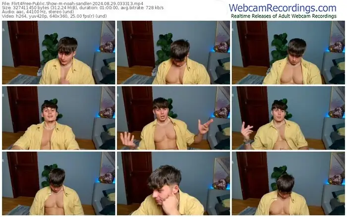 2024/08/29/flirt4free-noah-sandler-03-33-13