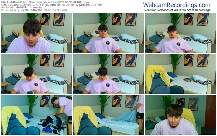 2024/08/30/flirt4free-noah-sandler-01-48-11