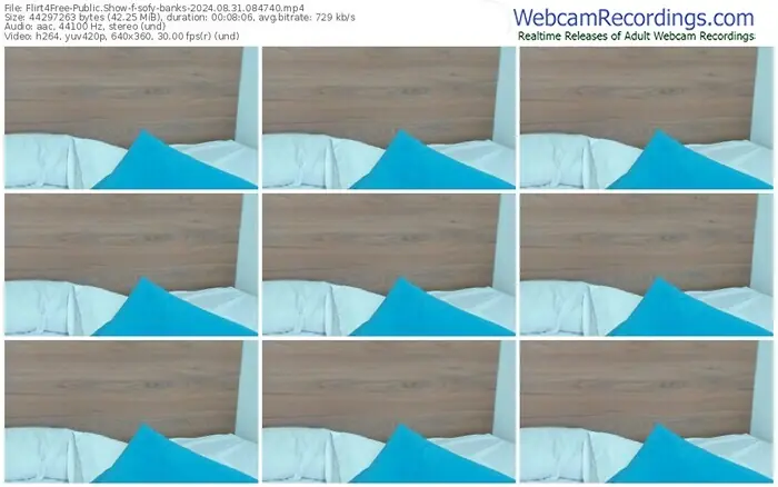 2024/08/31/flirt4free-sofy-banks-08-47-40