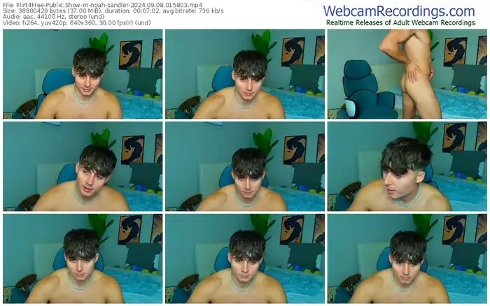 2024/09/08/flirt4free-noah-sandler-01-58-03