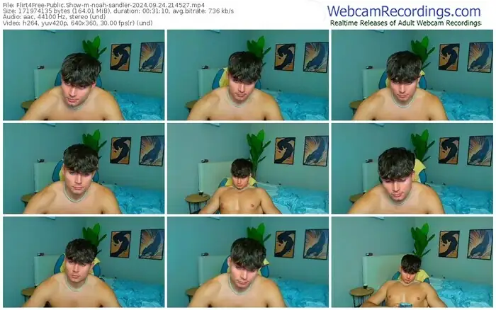 2024/09/24/flirt4free-noah-sandler-21-45-27