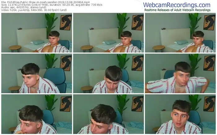 2024/10/08/flirt4free-noah-sandler-20-08-04
