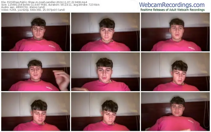 2024/11/07/flirt4free-noah-sandler-21-34-08