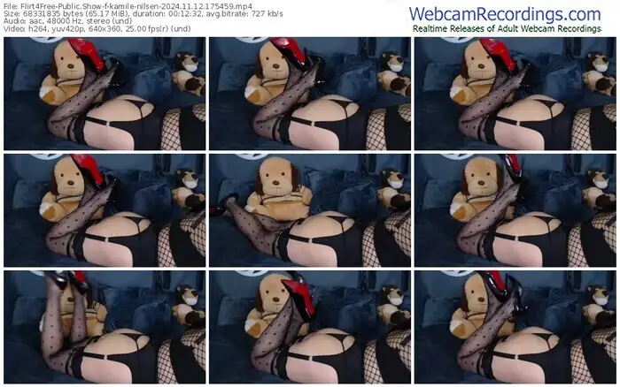 2024/11/12/flirt4free-kamile-nilsen-17-54-59
