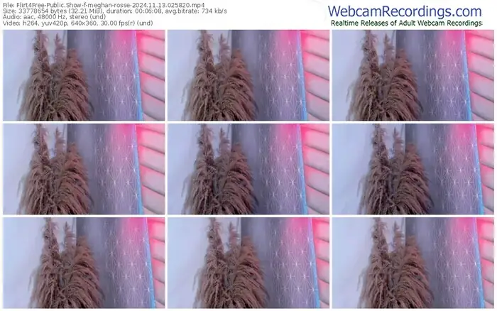 2024/11/13/flirt4free-meghan-rosse-02-58-20