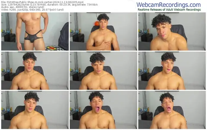 2024/11/13/flirt4free-nick-cartier-08-22-05