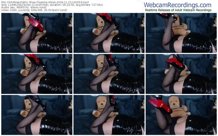 2024/11/15/flirt4free-kamile-nilsen-16-16-53