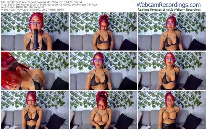 2024/11/15/flirt4free-pam-smiith-04-28-13