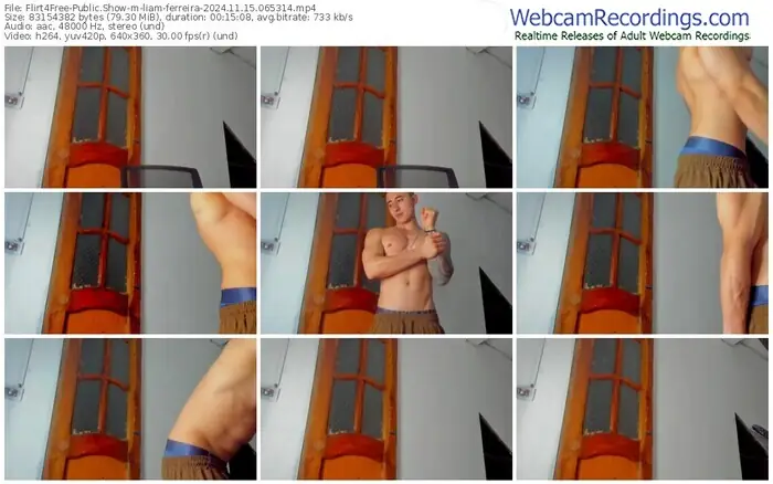 2024/11/15/flirt4free-liam-ferreira-06-53-14