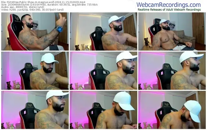 2024/11/15/flirt4free-magnus-wolf-01-09-33