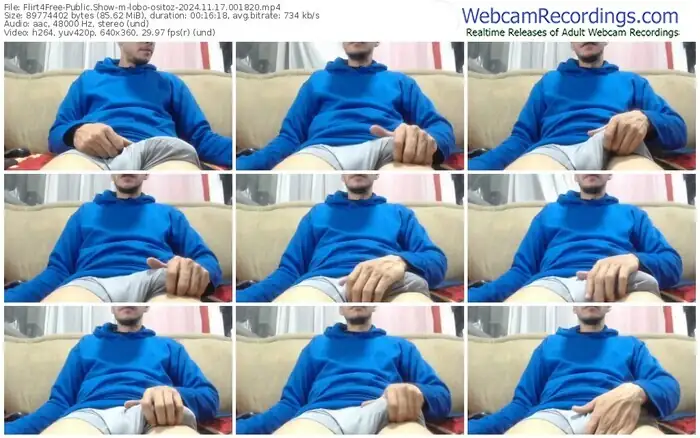 2024/11/17/flirt4free-lobo-ositoz-00-18-20