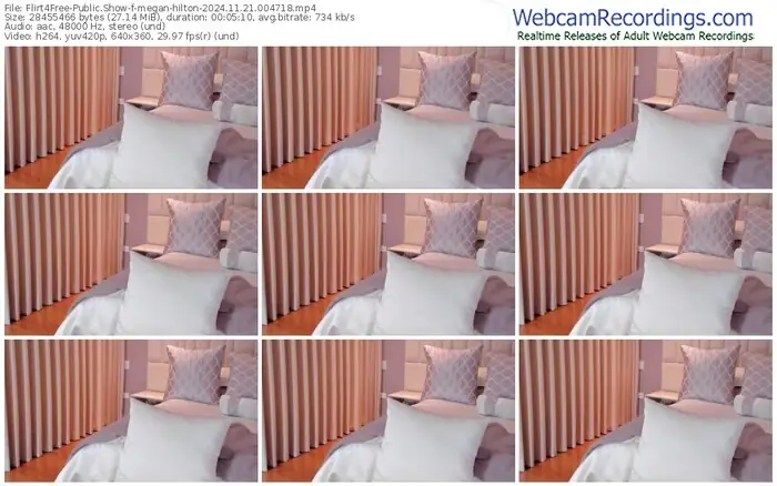 2024/11/21/flirt4free-megan-hilton-00-47-18