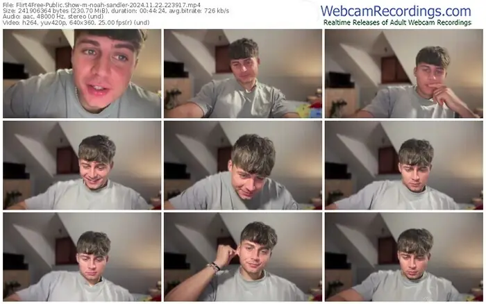 2024/11/22/flirt4free-noah-sandler-22-39-17