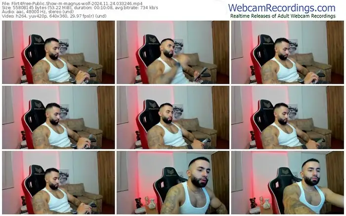 2024/11/24/flirt4free-magnus-wolf-03-32-46