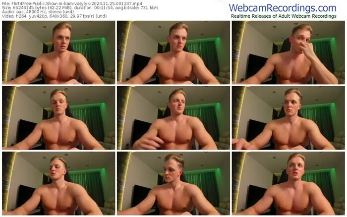 2024/11/25/flirt4free-liam-vasylyk-00-12-47