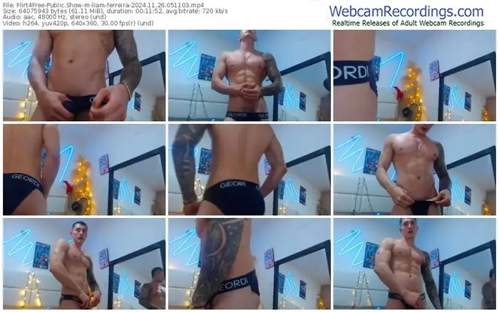 2024/11/26/flirt4free-liam-ferreira-05-11-03