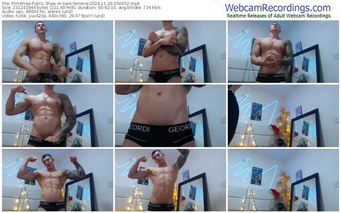 2024/11/29/flirt4free-liam-ferreira-05-09-52