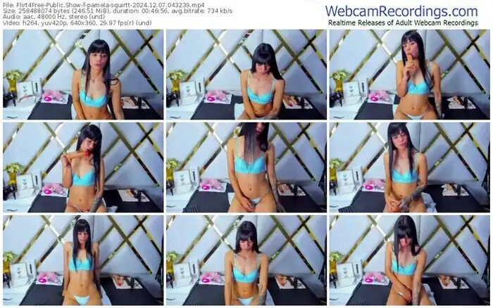 2024/12/07/flirt4free-pamela-squirtt-04-32-39