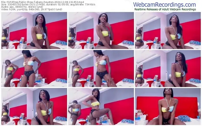 2024/12/08/flirt4free-ebany-houston-13-14-53