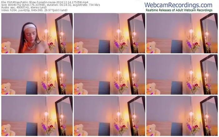 2024/12/14/flirt4free-joselin-rouse-17-53-58