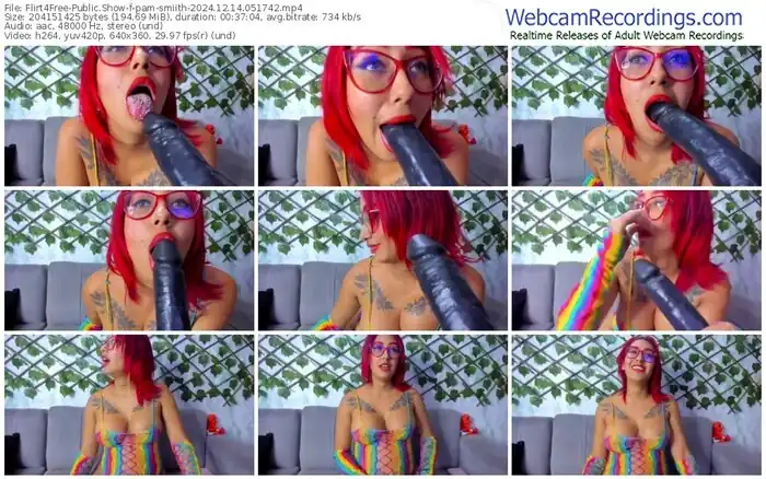 2024/12/14/flirt4free-pam-smiith-05-17-42