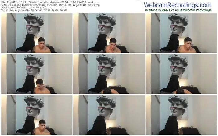 2024/12/20/flirt4free-nicolas-dwayne-03-47-12
