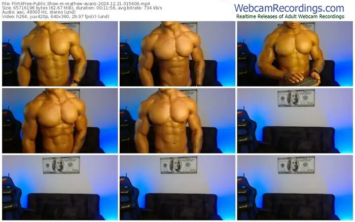 2024/12/21/flirt4free-mathew-evanz-01-56-06