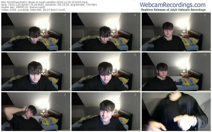 2024/12/26/flirt4free-noah-sandler-21-01-56