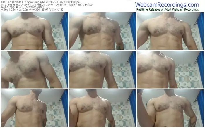 2025/01/02/flirt4free-gavbo-m-17-31-33