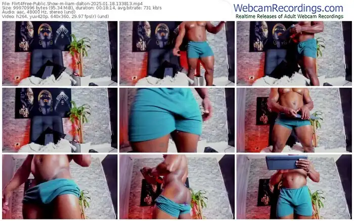 2025/01/18/flirt4free-liam-dalton-13-38-13