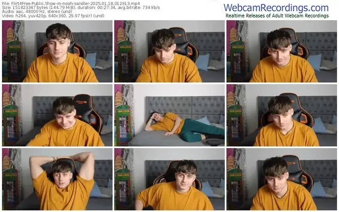 2025/01/18/flirt4free-noah-sandler-01-29-13