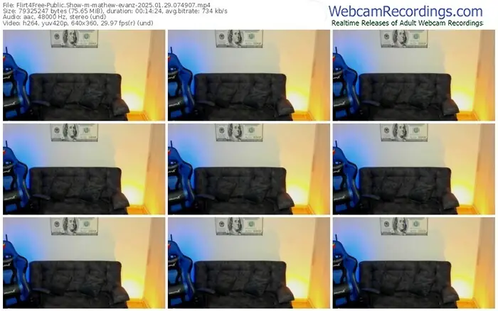 2025/01/29/flirt4free-mathew-evanz-07-49-07