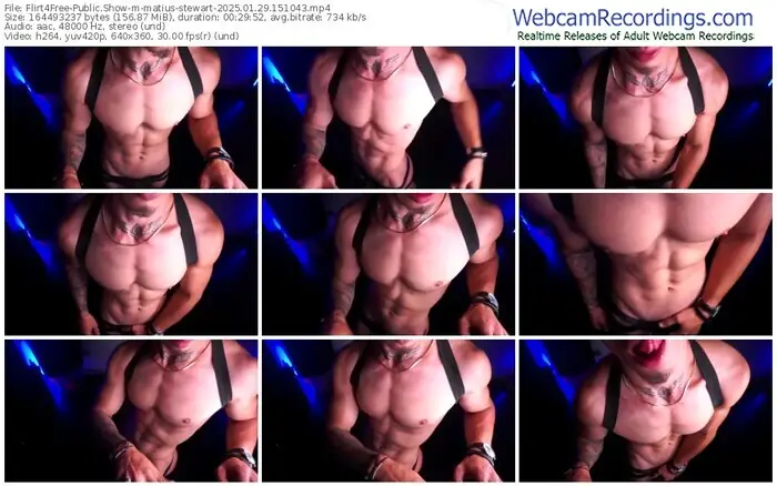 2025/01/29/flirt4free-matius-stewart-15-10-43