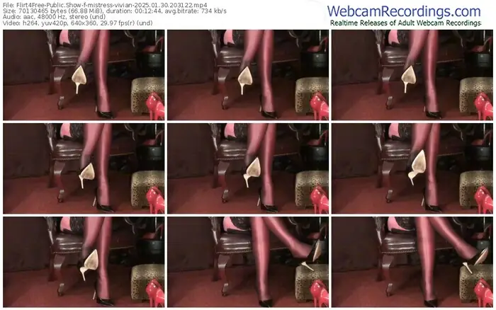 2025/01/30/flirt4free-mistress-vivian-20-31-22