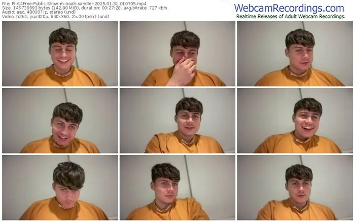 2025/01/31/flirt4free-noah-sandler-01-07-05