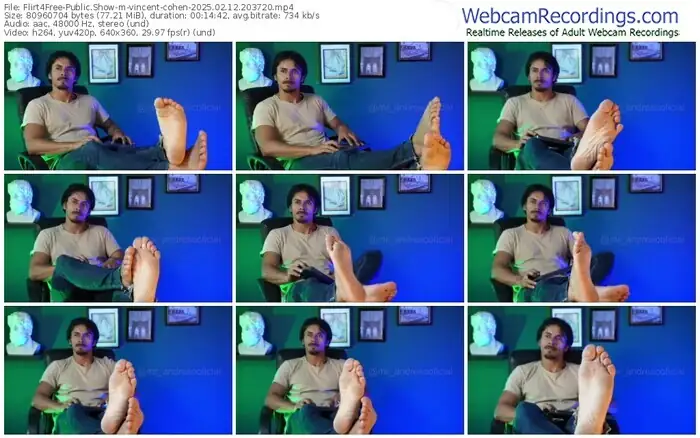 2025/02/12/flirt4free-vincent-cohen-20-37-20