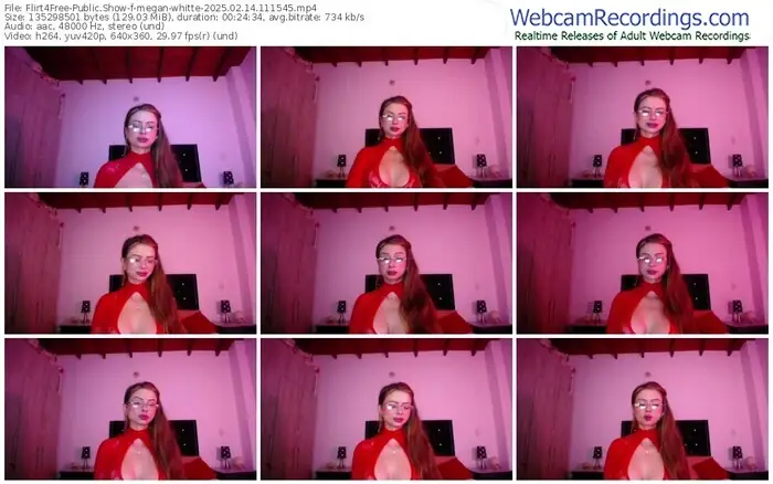 2025/02/14/flirt4free-megan-whitte-11-15-45