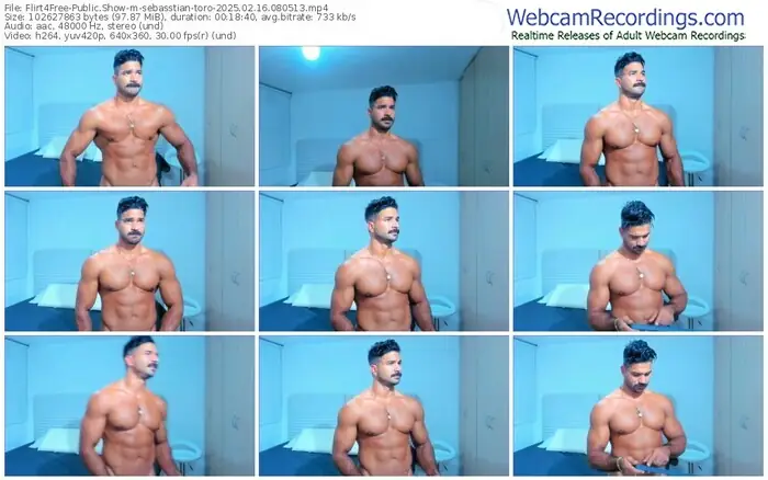 2025/02/16/flirt4free-sebasstian-toro-08-05-13