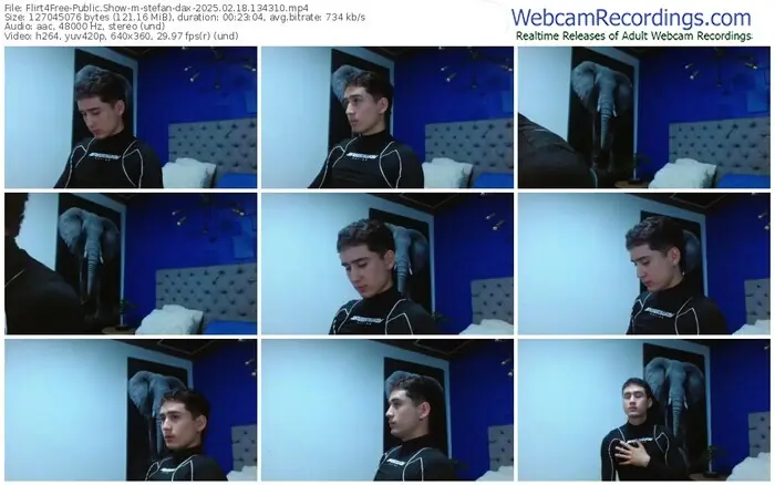 2025/02/18/flirt4free-stefan-dax-13-43-10