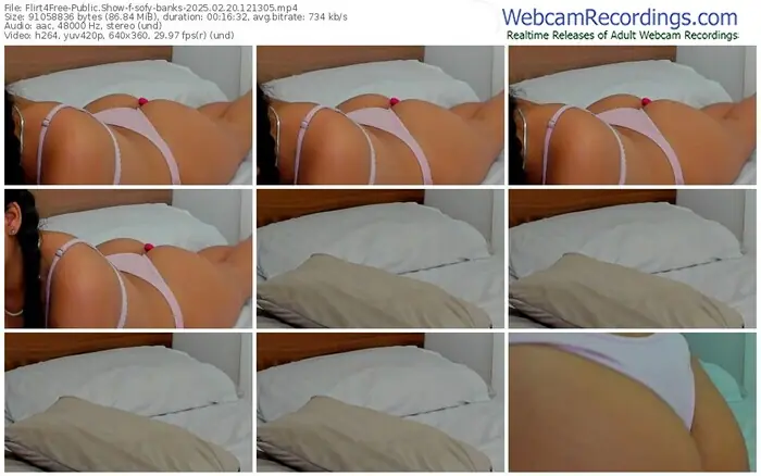 2025/02/20/flirt4free-sofy-banks-12-13-05