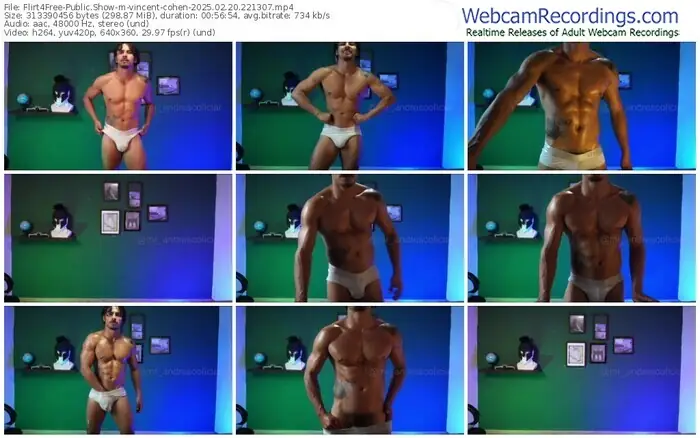 2025/02/20/flirt4free-vincent-cohen-22-13-07