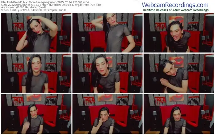 2025/02/24/flirt4free-megan-jonson-22-30-03