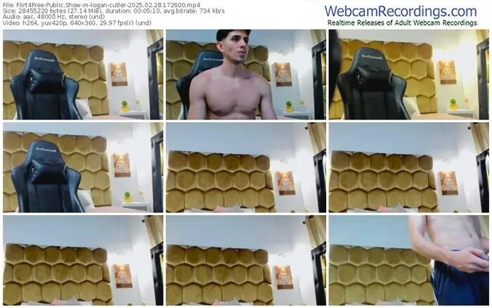 2025/02/28/flirt4free-logan-cutler-17-26-00