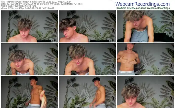 2025/03/01/flirt4free-nikk-carville-04-11-52
