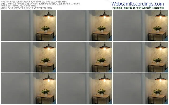 2025/03/13/flirt4free-luke-siner-03-06-50